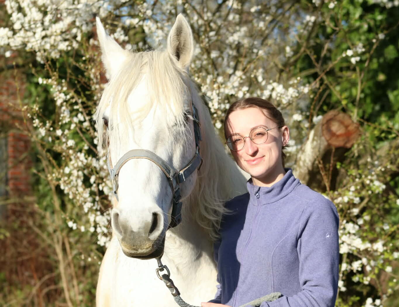 d2c5fafa-e770-46b4-9737-54e60af52c50